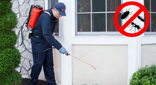Niğde Gümüşkurt İlaçlama böcek ilaçlama ve haşere kontrolü — ilaclama-tr.com